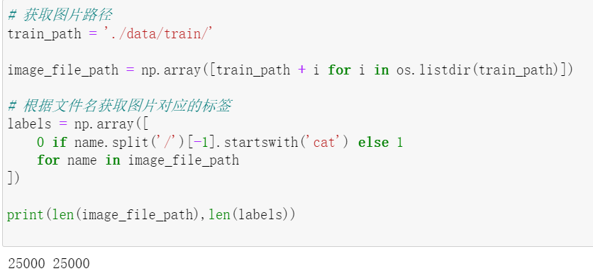 Implementing Cat and Dog Classification Based on Pytorch | 智能科学与技术课程设计